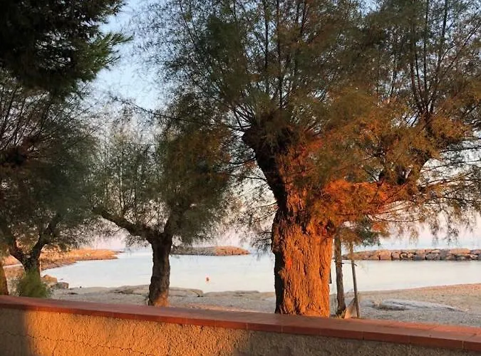 Frantoio Lejlighed *