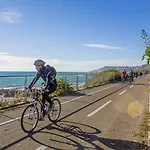 Frantoio * Riva Ligure